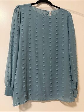 Zenana Blue Swiss Dot Long Sleeve Blouse